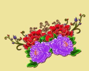 牡丹花剪枝视频,视频教程助您轻松养护