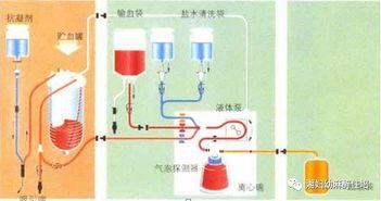 输血操作流程视频,视频解析与关键步骤梳理