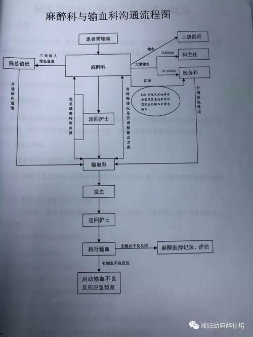 输血操作流程视频,视频解析与关键步骤梳理