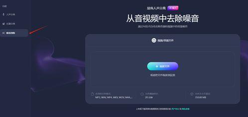 视频消除杂音,视频杂音消除技术解析