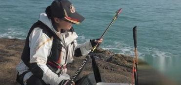 教钓鱼视频,跟随钓鱼视频轻松入门钓鱼技巧