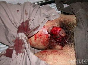 割牛鞭视频,割牛鞭技艺的传承与魅力