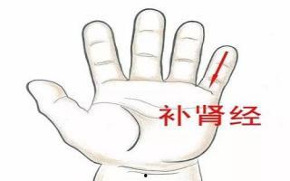 补肾手法视频,揭秘传统养生之道