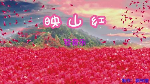 映山红独舞视频,舞动山野的美丽传奇
