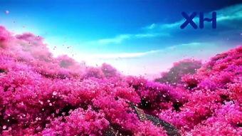 映山红独舞视频,舞动山野的美丽传奇